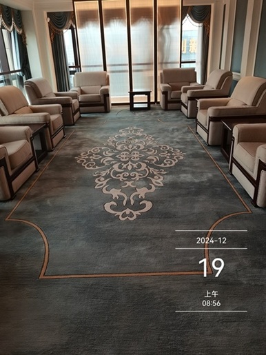 多间会议室羊毛地毯清洗